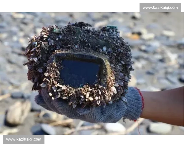 深海手术刀：螺旋桨藤壶的沉浸式清理实录